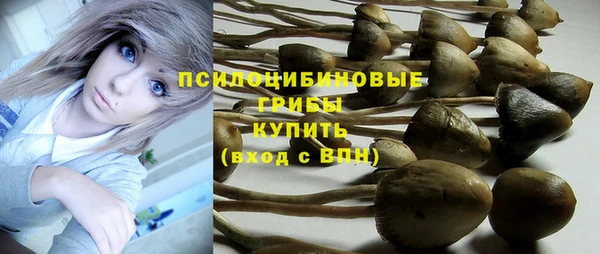 индика Братск