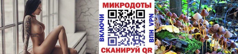 это Telegram  omg ССЫЛКА  Ялуторовск  Галлюциногенные грибы Psilocybine cubensis 